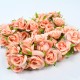 Розички за Декорация 60бр