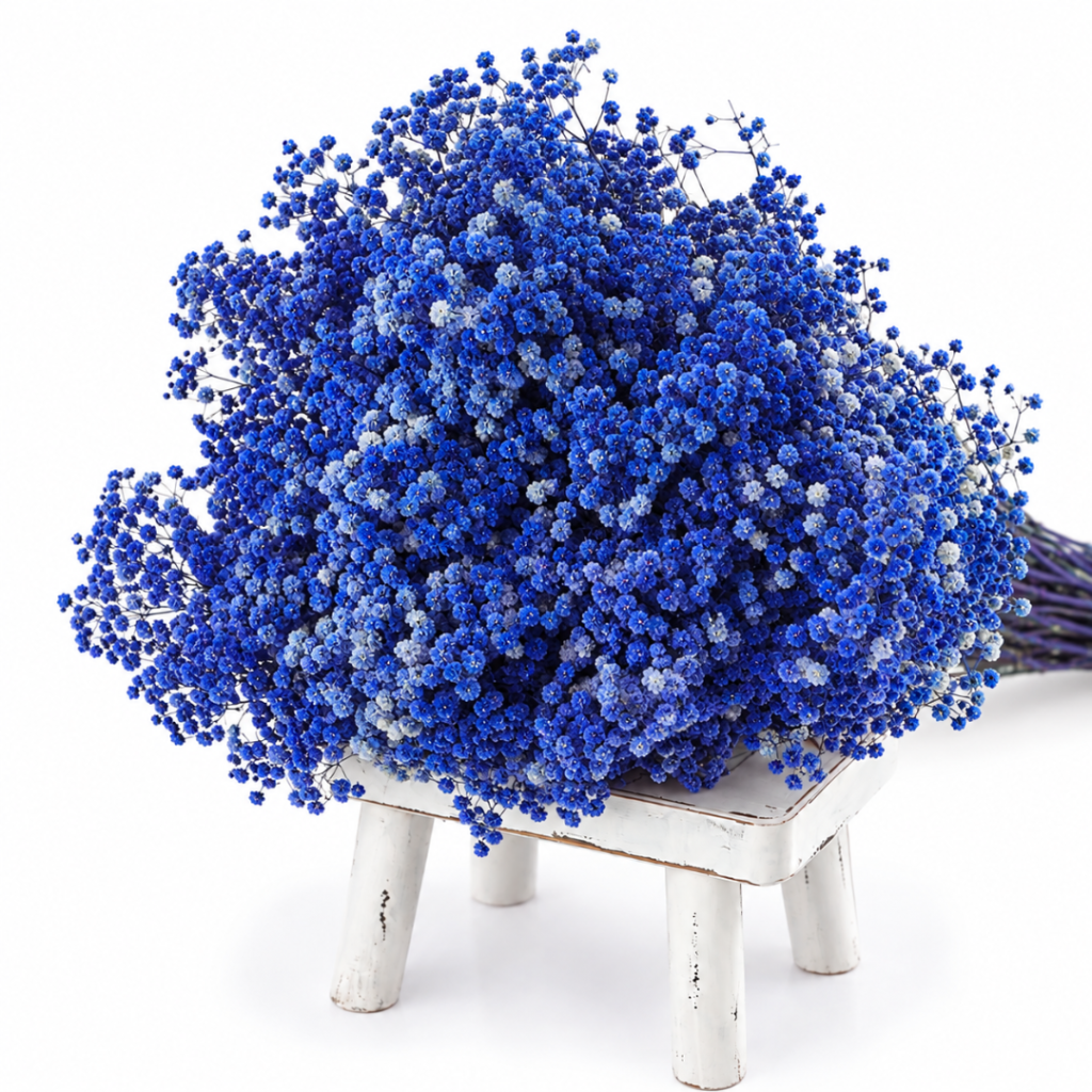 Стабилизирана Гипсофила 400гр / 70см